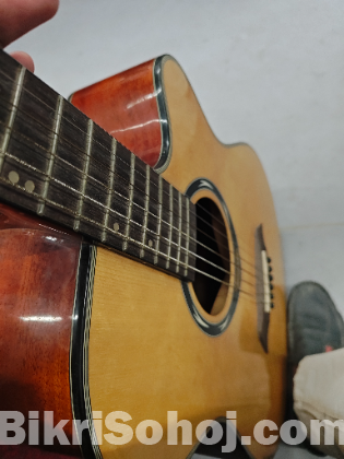 Tayste L2-720A Premium Pure Acoustic Guitar